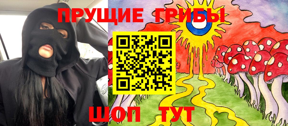 Мирный  Псилоцибиновые грибы Psilocybine cubensis  Вход с VPN 
