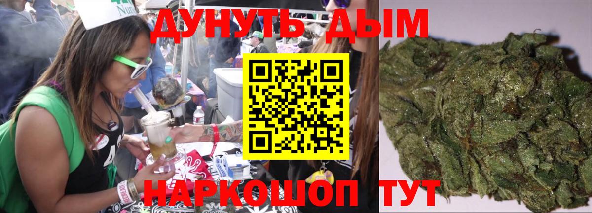 Марихуана планчик  Бошки Шишки сатива  Вход с VPN  Канабис план  Мирный 